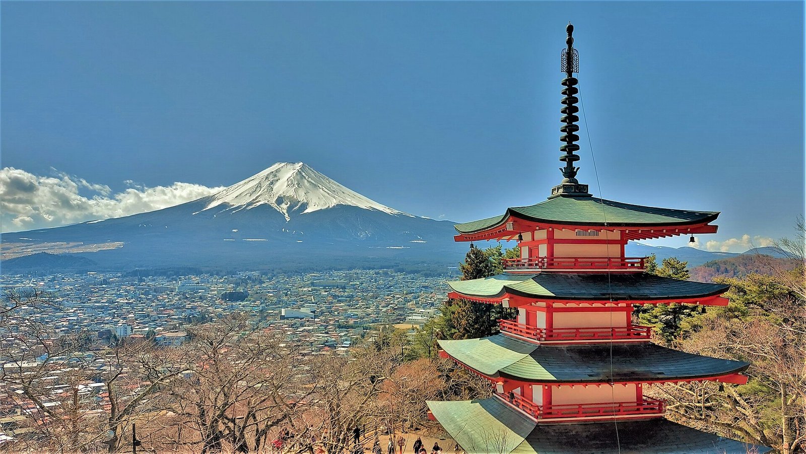 Study in Japan